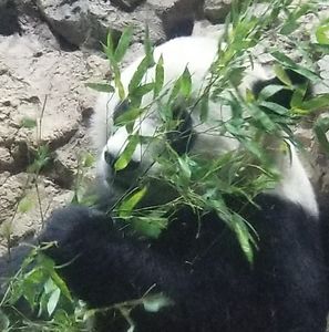 Meet your Posher, Kristina